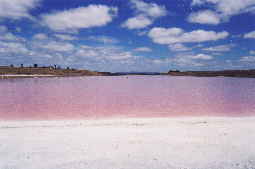 a pink salt lake in the Cockajemmy Lakes System near Willaura Cockajemmy Lakes